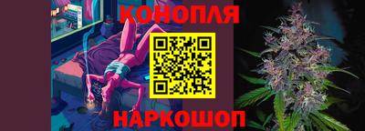 не бодяженный Гай