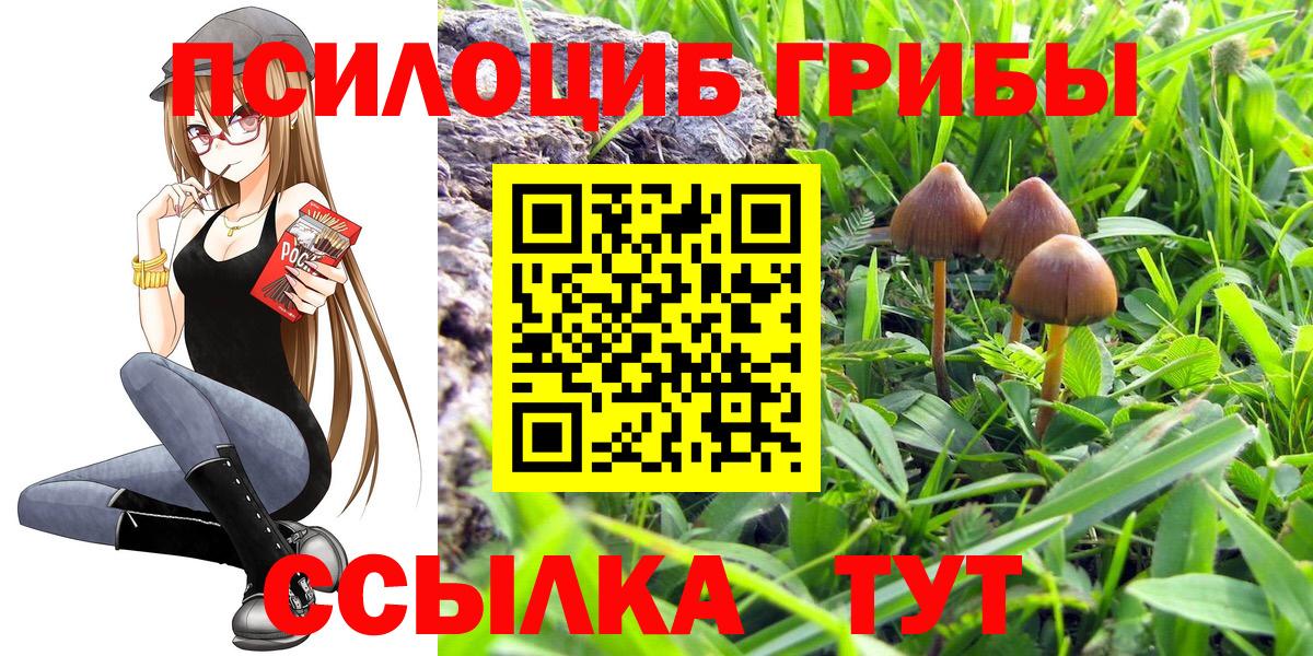 Галлюциногенные грибы GOLDEN TEACHER Дюртюли